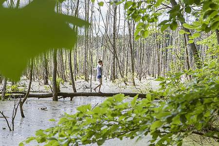 女人在沼泽的树干上保持平衡图片