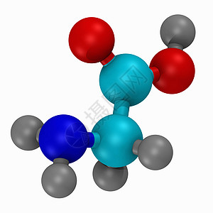 氨基酸甘氨酸的球棒模型图片