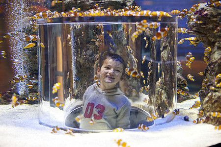 年轻男孩在水族馆里开心的玩耍图片