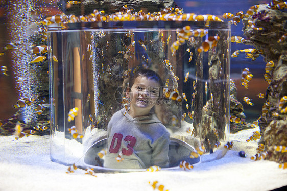 年轻男孩在水族馆里开心的玩耍图片