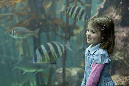 在水族馆看热带鱼类的年轻女孩图片