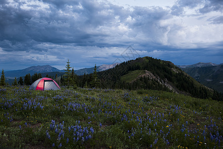 美国科罗拉多州附近西埃尔克山的帐篷图片