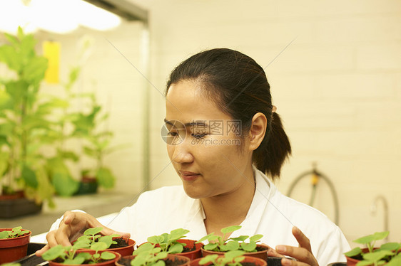 实验室中女科学家监测植物样本图片