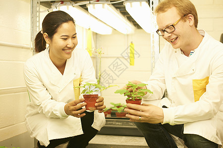 两名科学家比较实验室中的植物样品图片