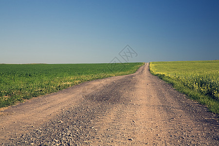田地旁的农村公路图片