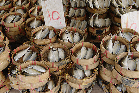 泰国曼谷渔业市场图片