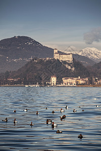 CastellodiAngera与鸭子在意大利马吉奥雷湖游泳图片