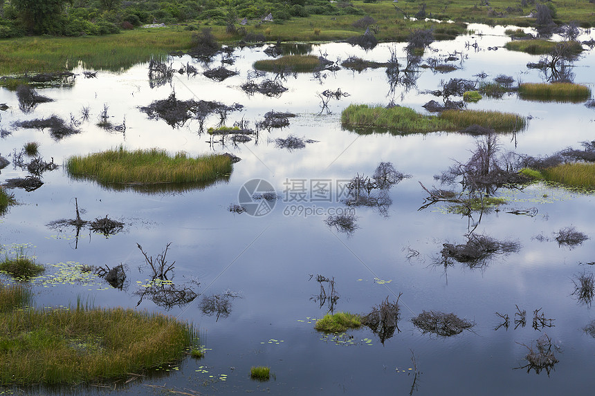 OkavangoDelta非洲博茨瓦纳乔贝公园图片