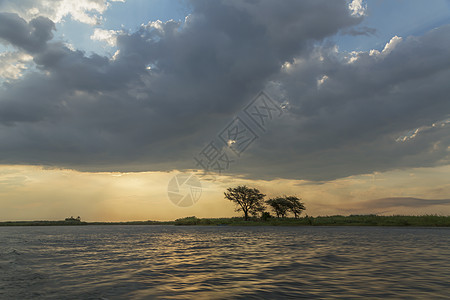 非洲博茨瓦纳卡萨内乔贝公园Chobe图片
