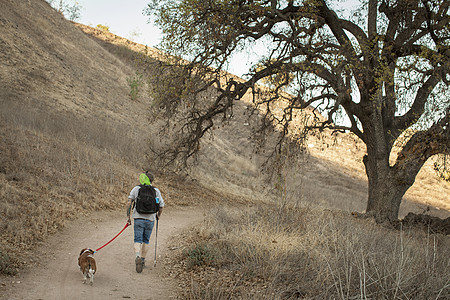 美国加利福尼亚州SantaMonica山的成熟人和他小猎犬远足图片