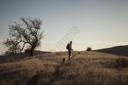 美国加利福尼亚州SantaMonica山上行走的成熟人和他贝猎犬图片