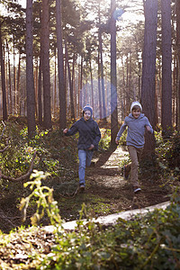 双兄弟通过森林赛跑图片