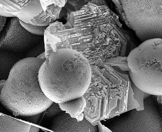 含硫和氯的氧化铁形成层的电子显微镜图像图片