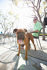 在公园咖啡厅的成年中男子和宠物狗图片