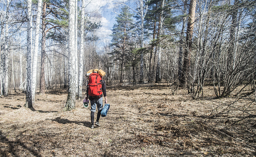 背着背包的成年男子在森林里徒步图片