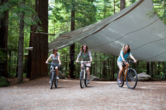 三名妇女骑山地车穿越森林图片