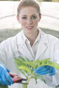切割植物的女科学家图片