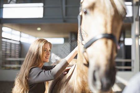 年轻女性抚摸着马的背部图片