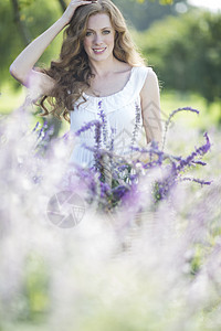 紫花草地上美丽的年轻女子 图片