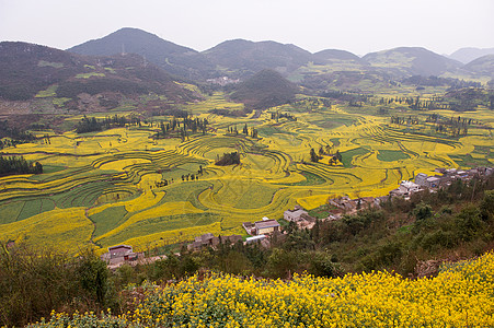 村庄和田地 背景图片