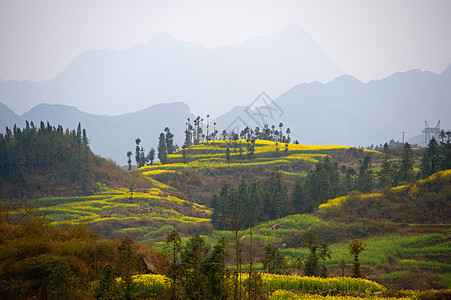 乡村风景图片