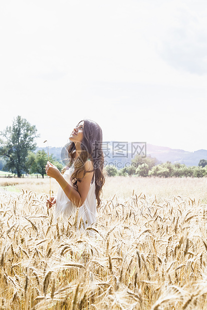 小麦田中的年轻女性图片