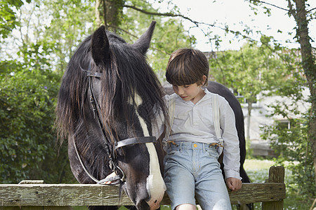男孩与马坐在农场门上图片