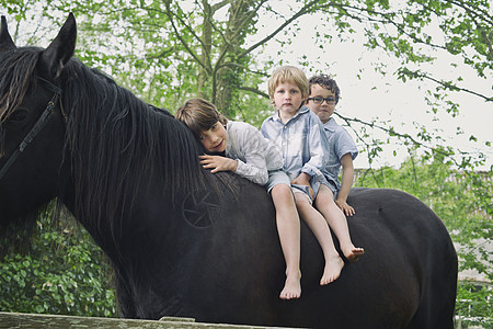 连续三个男孩在树林里骑马图片