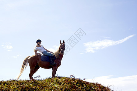 新西兰奥克Pakiri海滩山顶骑马者图片