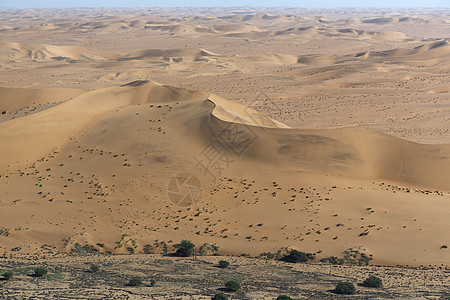 纳米比亚布沙漠丘图片