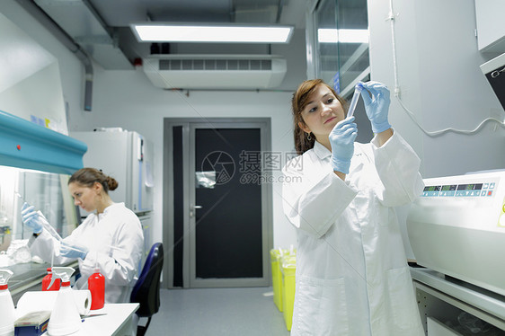 研究测试样品的生物实验室的技术人员图片