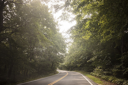 清晨的乡村公路图片