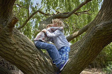 两个兄弟拥抱林树图片素材