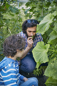 父亲和儿子在分配时闻植物的香味图片