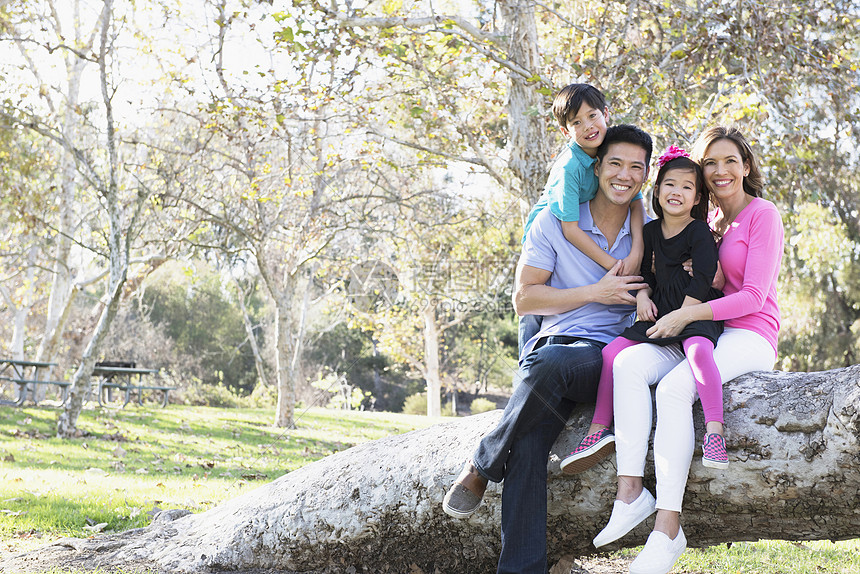 高清照片下载,该高清照片标题为一家四口在公园里合影,编号:501845792