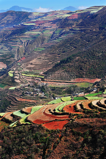 云南的田地图片