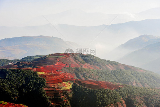 云南的田地图片