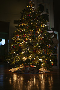 夜间室内圣诞树图片