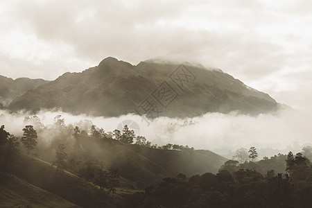 中美洲危地马拉上韦拉帕斯山区的晨雾图片