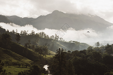 黎明时的在雾里的兰金上韦拉帕斯危地马中美洲图片