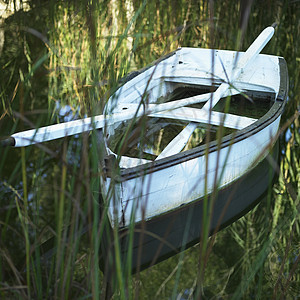 隐藏在草丛湖中的船和桨图片