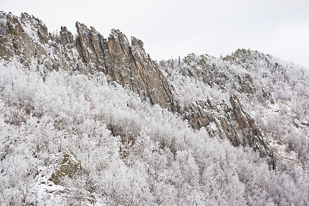 俄罗斯维尔德洛夫克州萨尔西村雪覆盖的森林和山丘图片