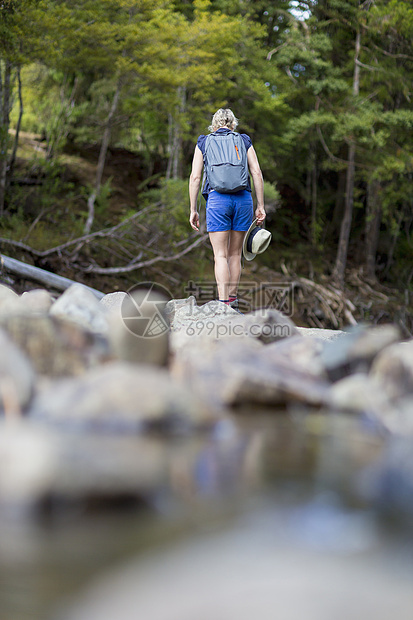 新西兰北岛怀玛森林远足者在浅溪中的石头间行走图片
