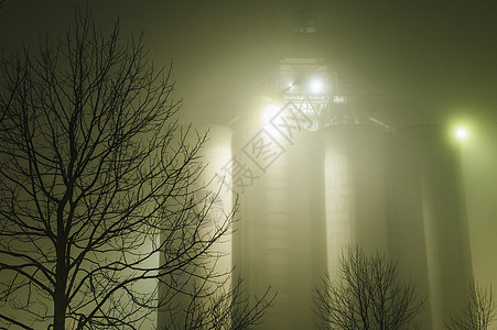 美国华盛顿州西雅图夜间工业储油罐和木头树的迷雾图片