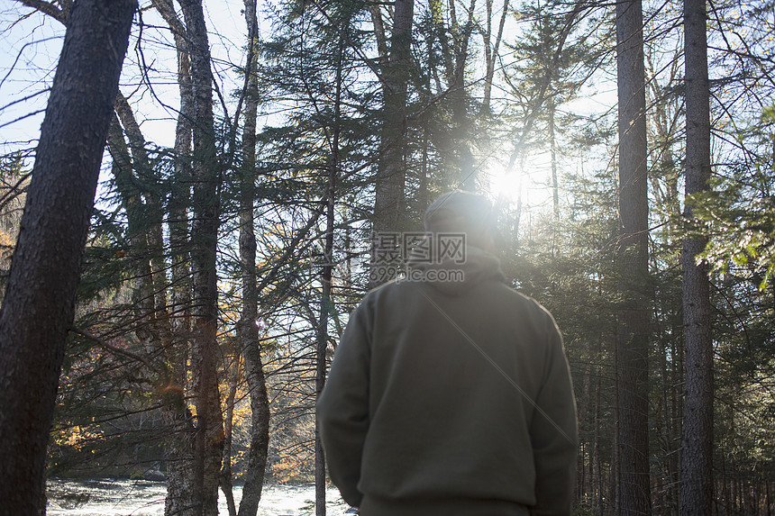 美国缅因州日光下林中散步的成年男子图片