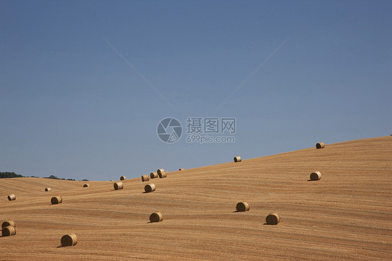 意大利托斯卡纳州皮恩扎瓦尔德奥西亚图片