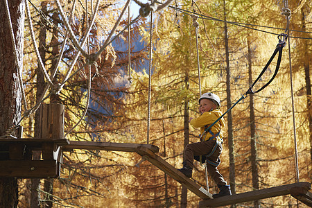 男孩在森林中攀爬附在高绳上图片