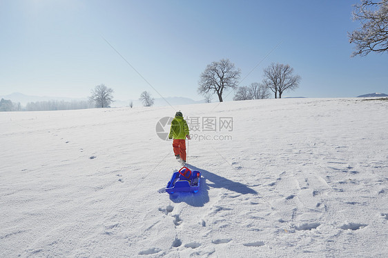 小男孩在雪中行走拉着橇后背向看图片