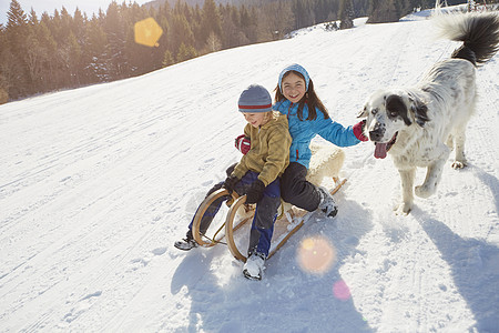 兄妹跟宠物狗在一起玩雪橇图片