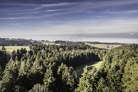 德国阿尔高远雾的山丘景观图片